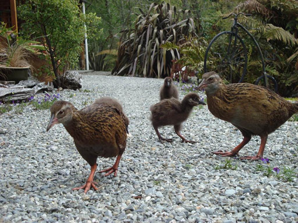 Lake Brunner Country Motel & Holiday Park Moana Esterno foto